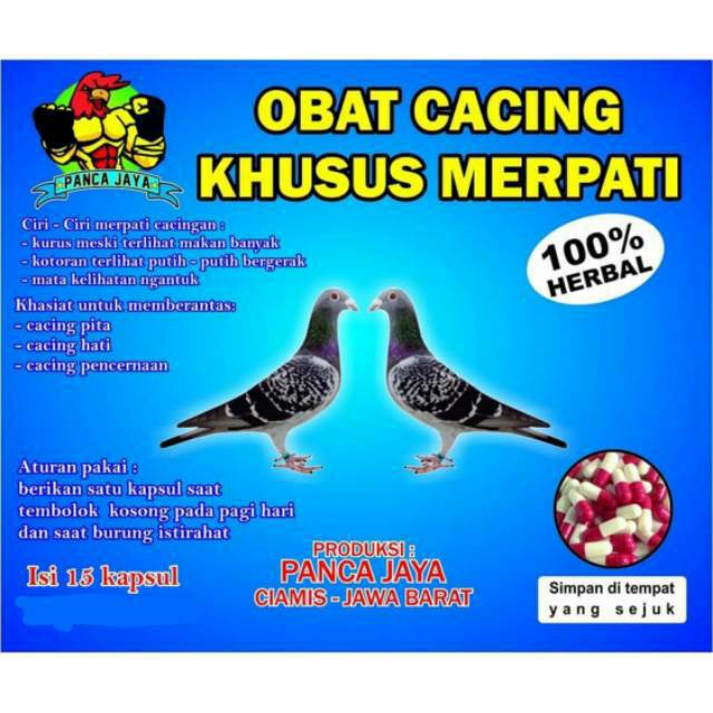 Jamu Alami Merpati Obat Kuat