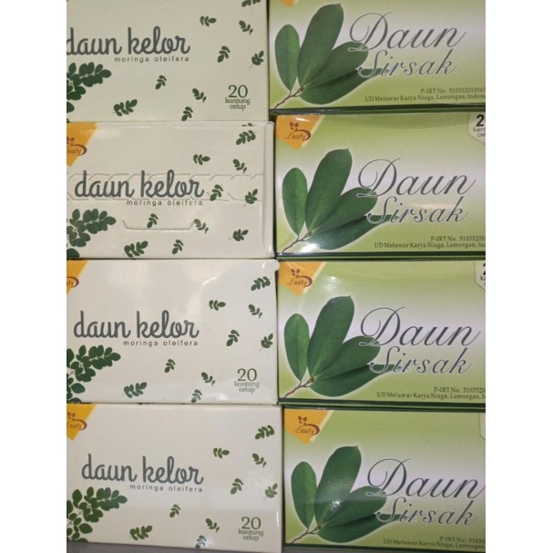

TEH HERBAL DAUN SIRSAK