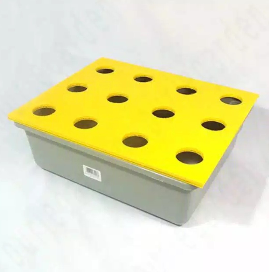 Bak & Impraboard 12 Lubang Hidroponik Wick System