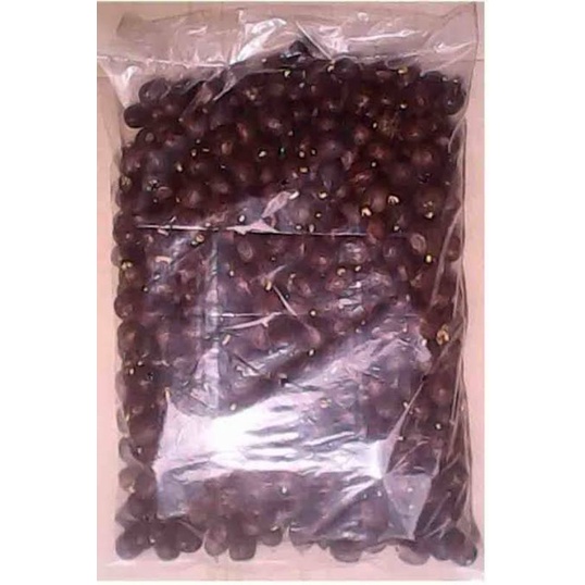 Biji bibit Karet Unggul PB 260 paket 750 biji