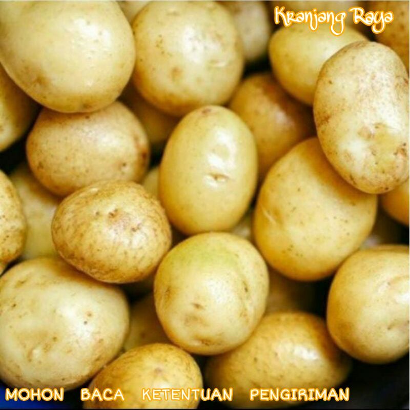 Kentang baby / baby potato