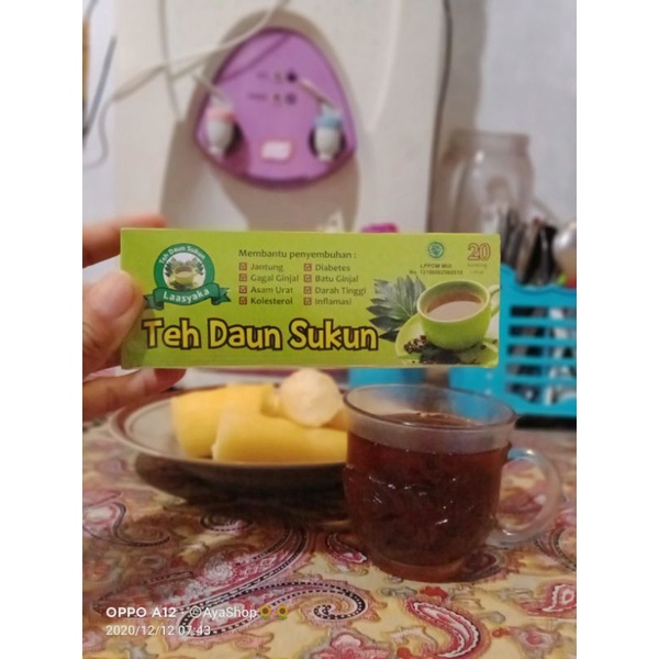 

Teh daun sukun Laasyaka obat terapi pengobatan.