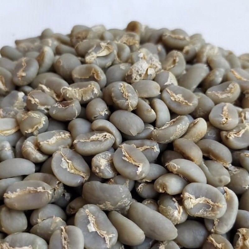 

arabica gayo coffee green beans.
