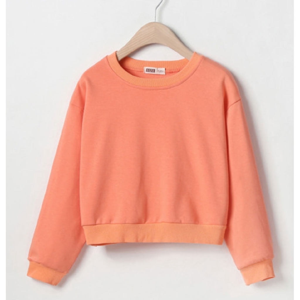 ZAHRA - ORANGE CHIKEN WINGS / (IMPORT) SWEATER Anak CEWEK/COWOK /PAKAIAN ANAK SWEATER ANAK FLEECE