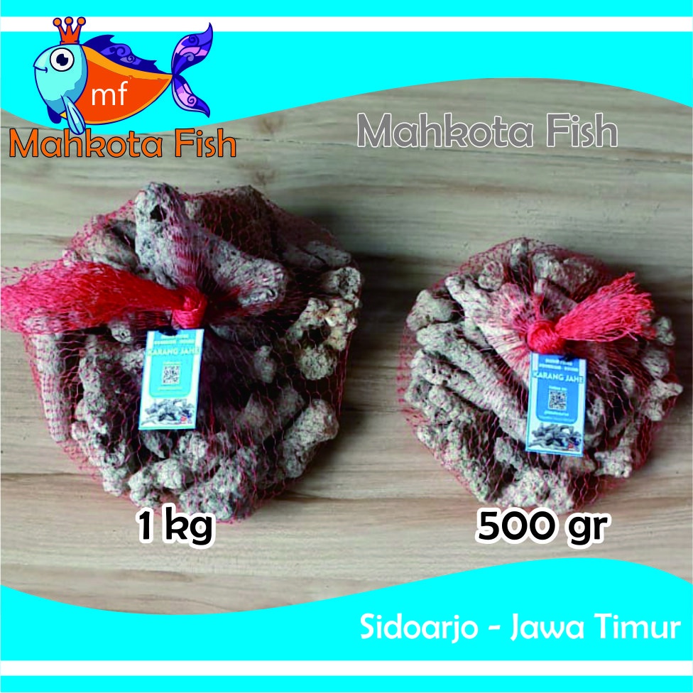 Batu Karang Jahe (1 kg) | Karang Jahe | Media Filter Aquarium Aquascape | Media Filter Kolam