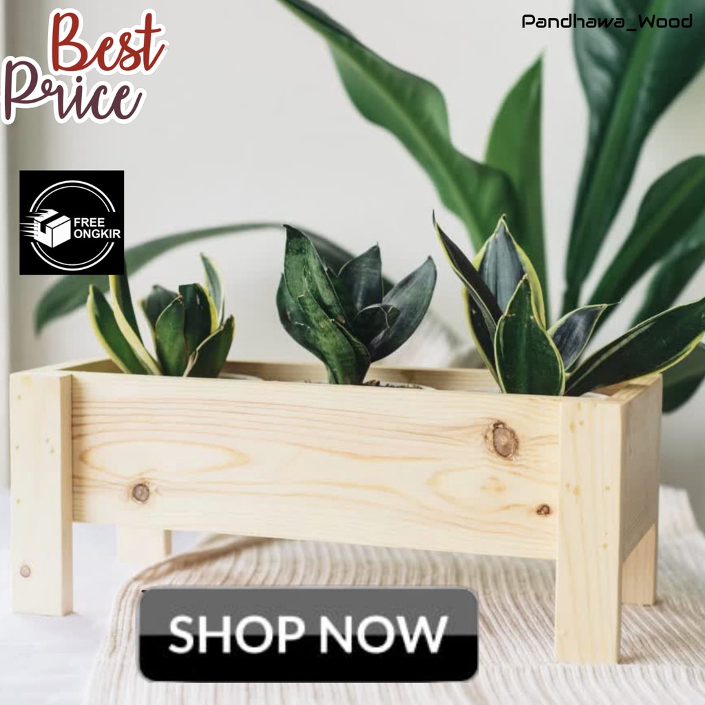 Pot Kayu Kaktus Suculent | Wooden Planter Box Kaktus