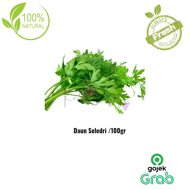 

Sayur Segar - Daun Seledri /100gr