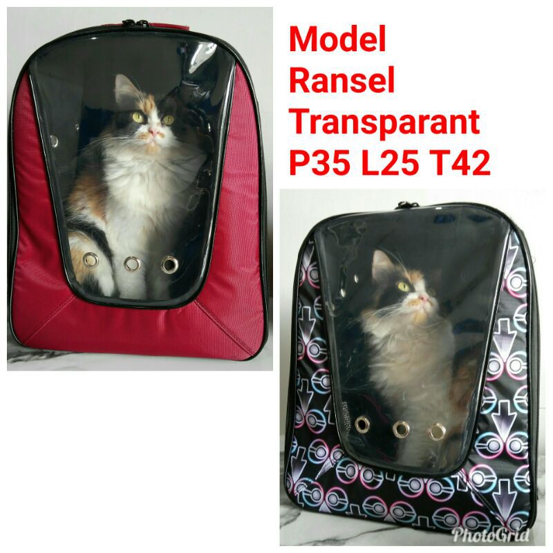 TAS KUCING JUMBO Tas Hewan Model Ransel Transparan Tas Musang Kelinci Reptil Oter dan Hewan Lain