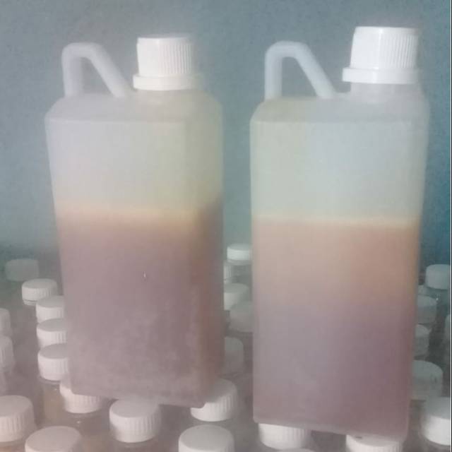 

Madu Malifera 1kg Asli 100%