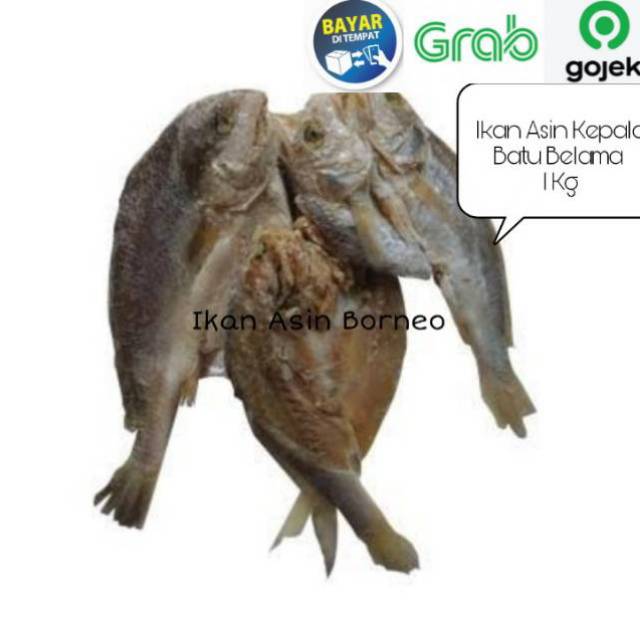 Ikan Asin Kepala Batu Kering 1 KG Ikan Asin Belama