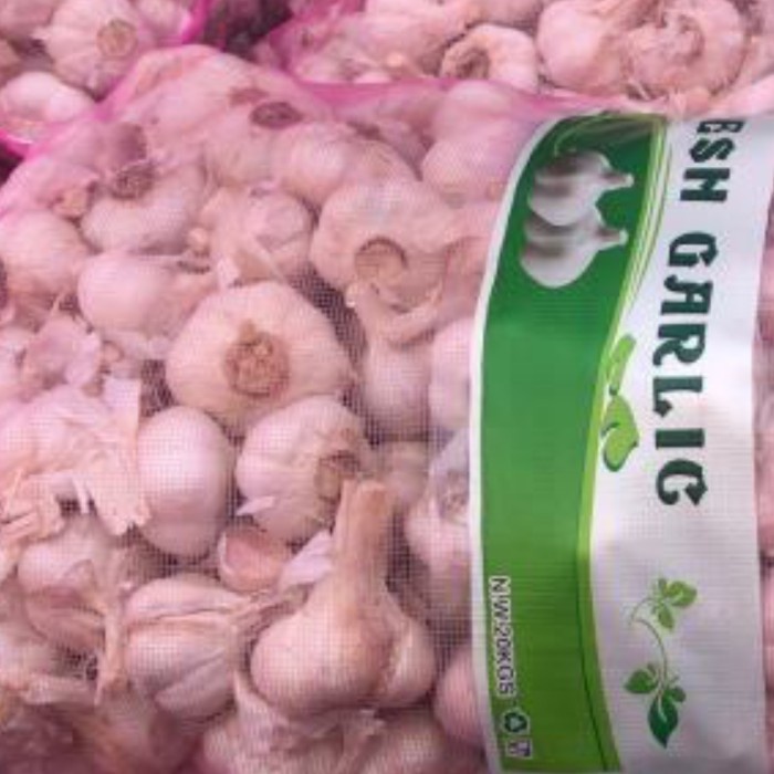 Siap Kirim Bawang Putih Kating 20Kg