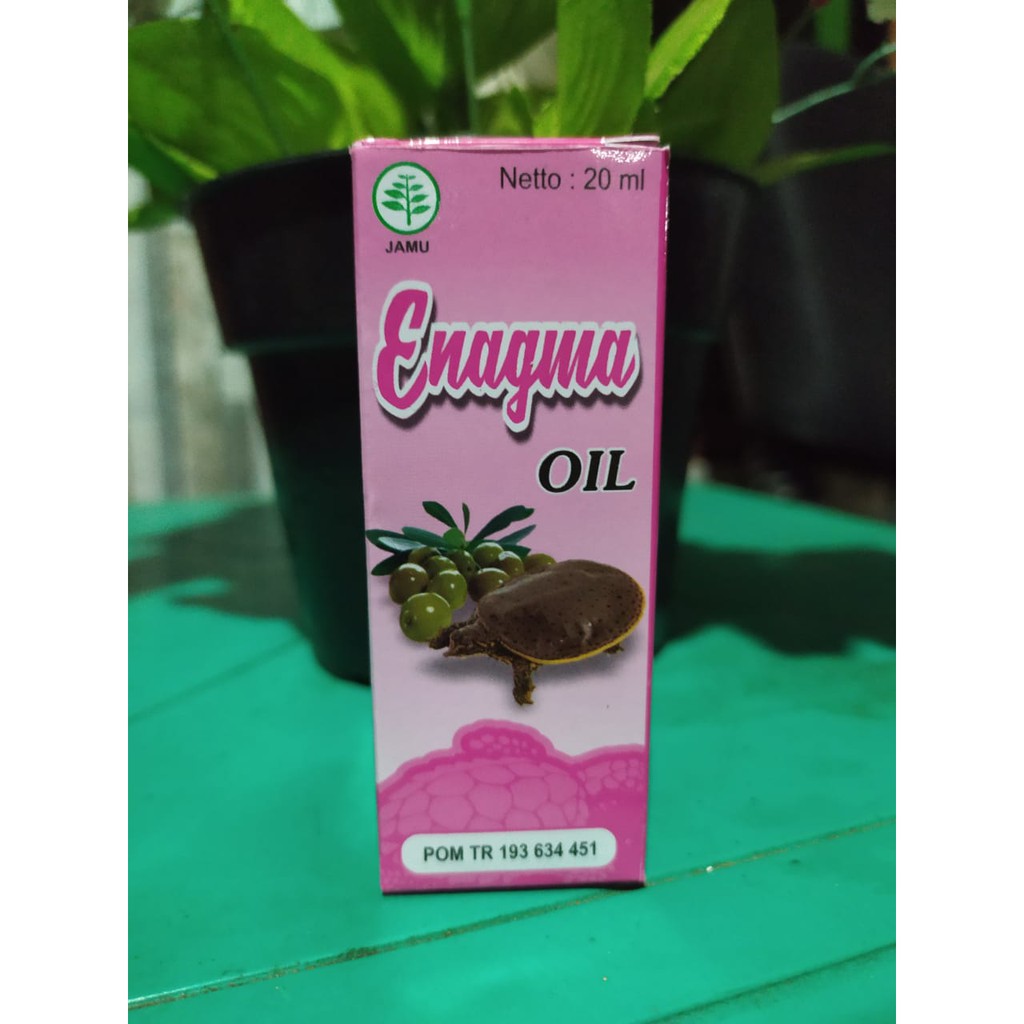 ENAGMA MINYAK BULUS PEMBESAR DAN PANJANG ALAT KELAMIN PRIA