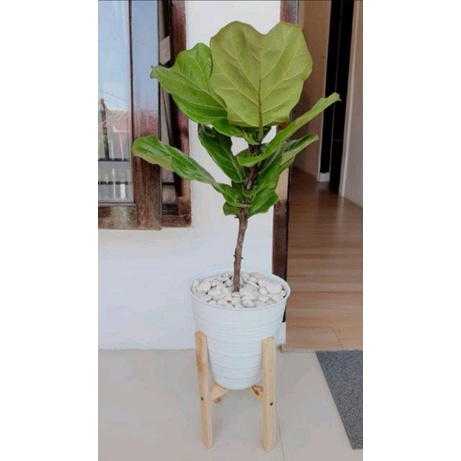 Standing planter diameter 20cm