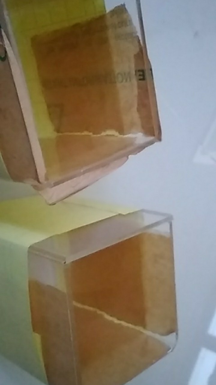 Aquarium Acrylik / Soliter Ikan Cupang, Betta Fish Akrilik, Aquarium Mini.