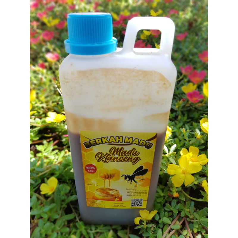 

Madu Klanceng , Madu Kelulut, Madu Trigona, Madu Asli, Madu Alam