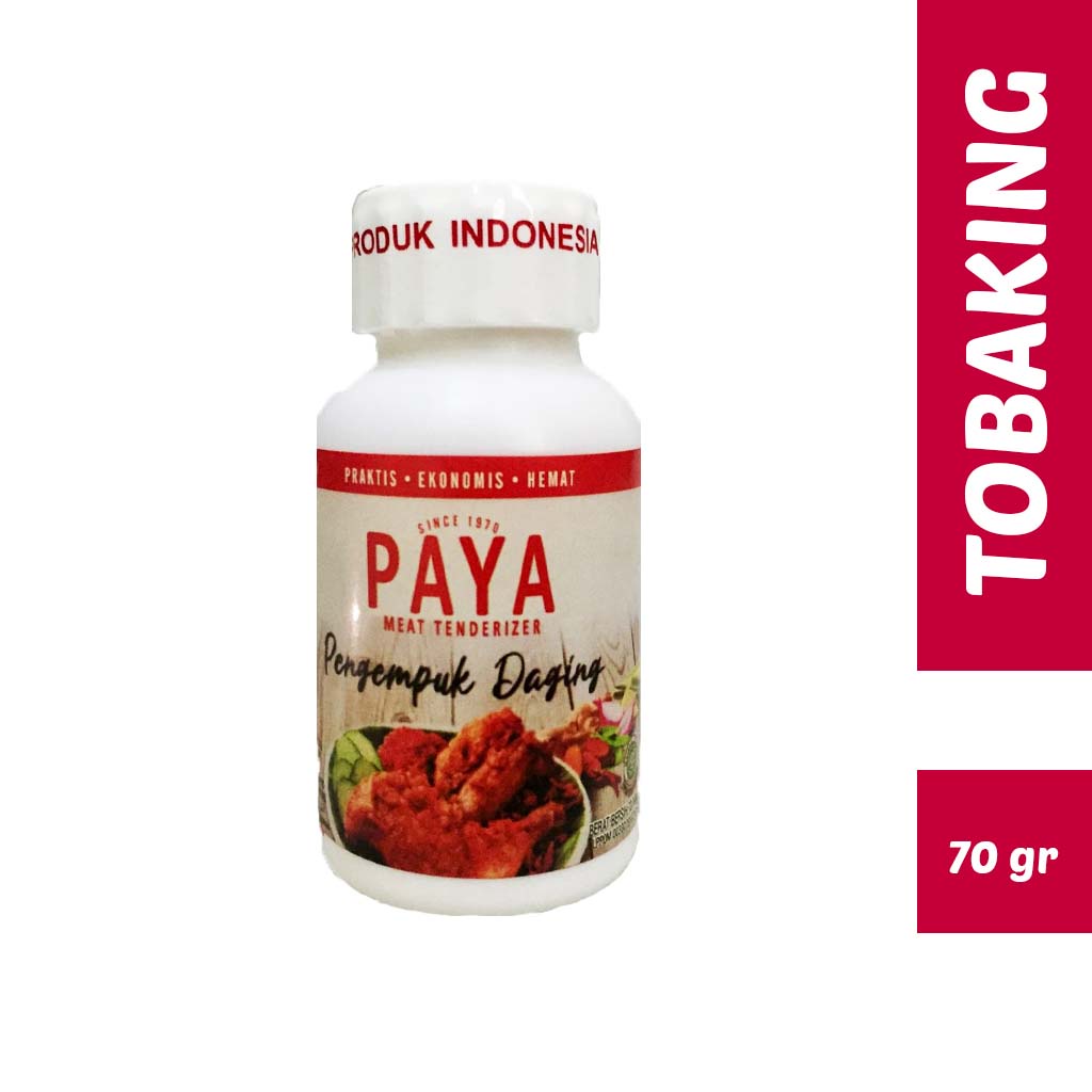 

PAYA Pengempuk Daging Meat Tenderizer 70gr