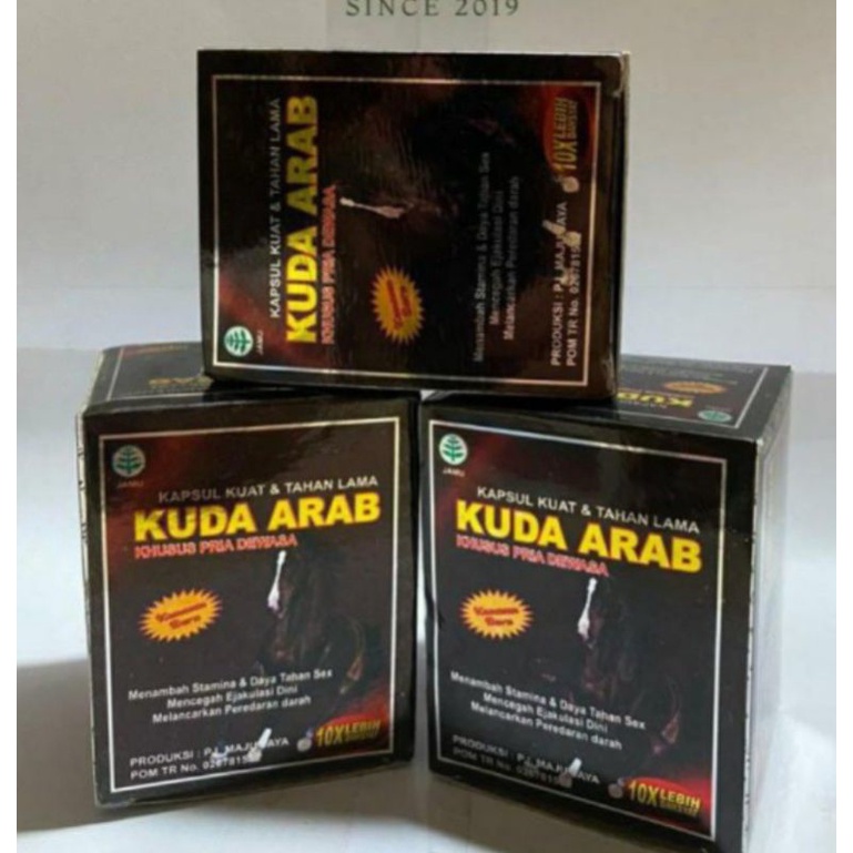Kuda Arab. kapsul herbal