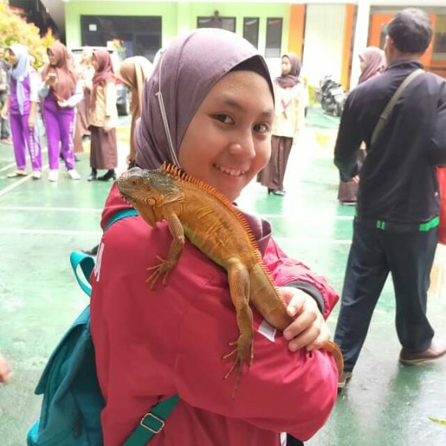 anismaniez_