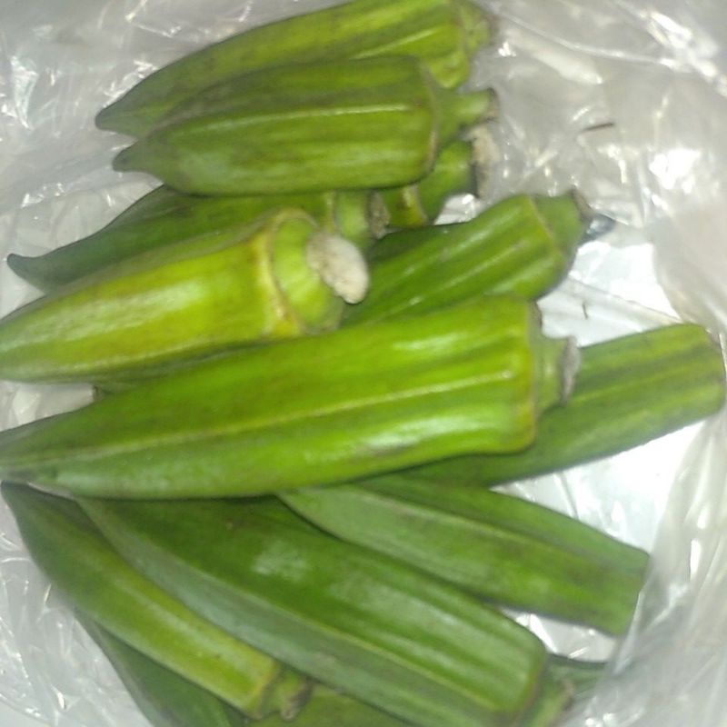 

Gumbo Bendi Okra sayur segar