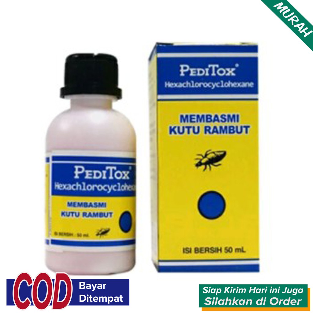 Obat Kutu Rambut Membersihkan Kutu sampai Telornya AMPUH Peditox