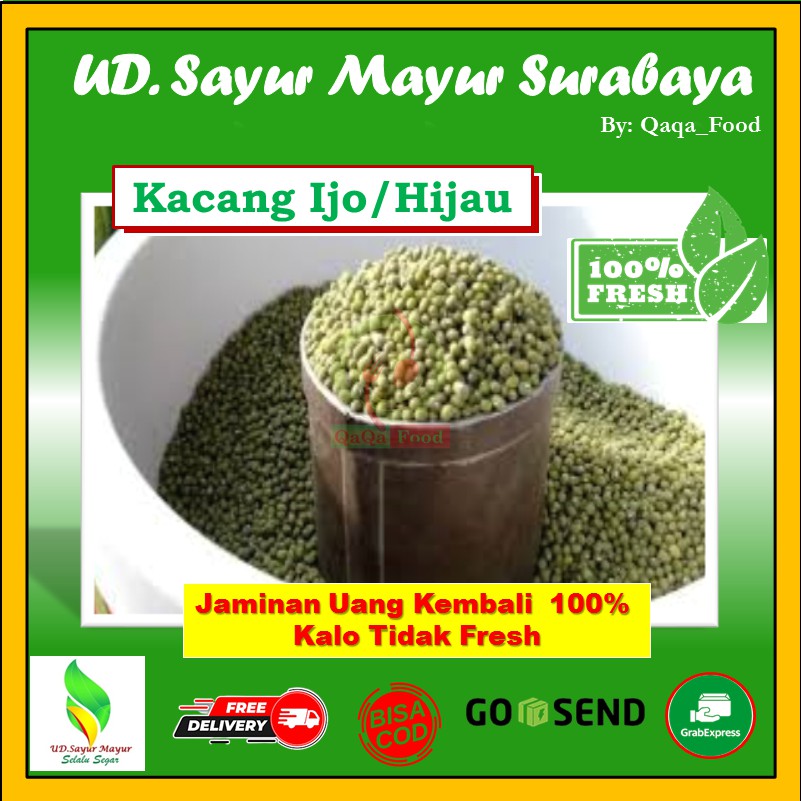 

KACANG HIJAU KACANG IJO SEGAR MURAH 500 GRAM - UD151