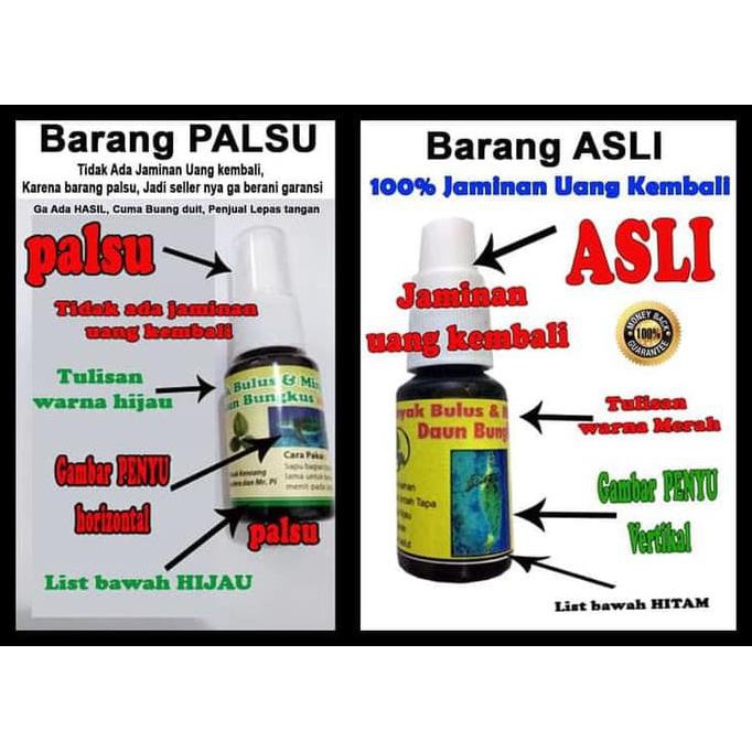 Minyak Bulus + Lintah Hitam + Daun Bungkus Asli Papua 100% Original