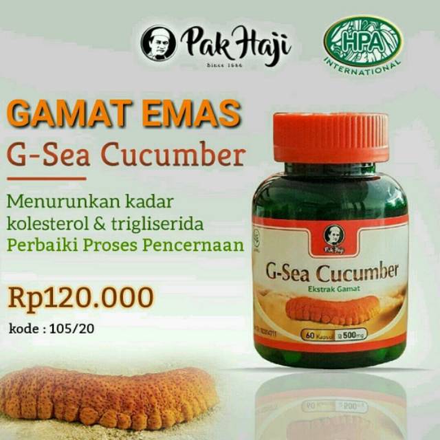 Kapsul Gamat Emas Herbal Sehat Mempercepat Penyembuhan Luka | GAMAT EMAS HPA INTERNASIONAL