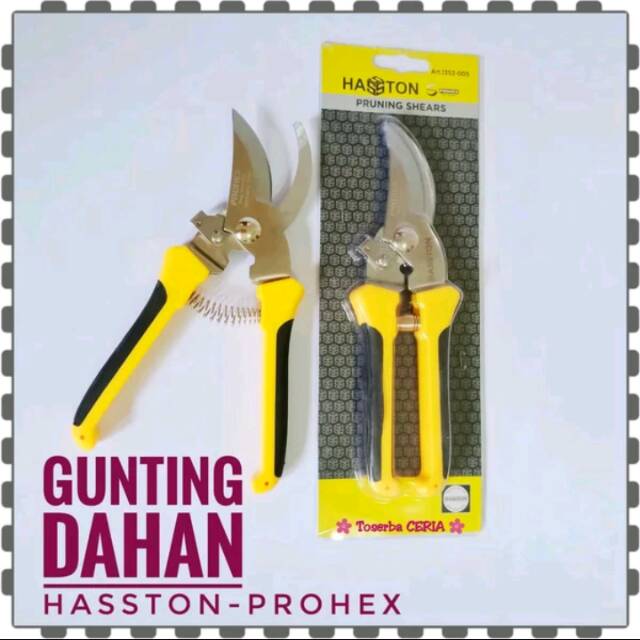 Gunting Dahan Ranting Hasston Prohex