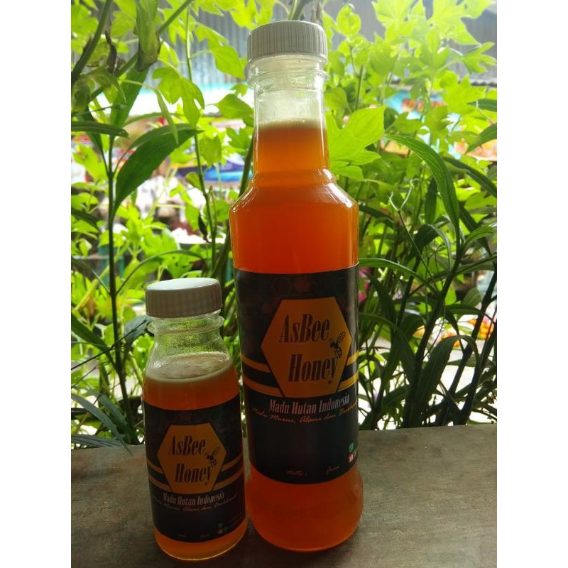 

madu hutan apis dorsata (lebah liar) asbee honey