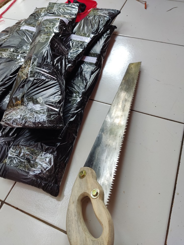 Gergaji Multifungsi Bahan Baja Siap Pakai Sudah Di Kikir Tajam