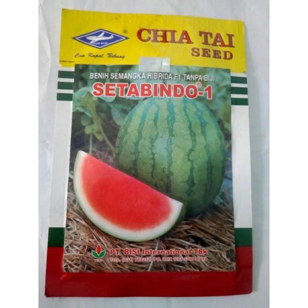 

Semangka non biji merk stabindo i