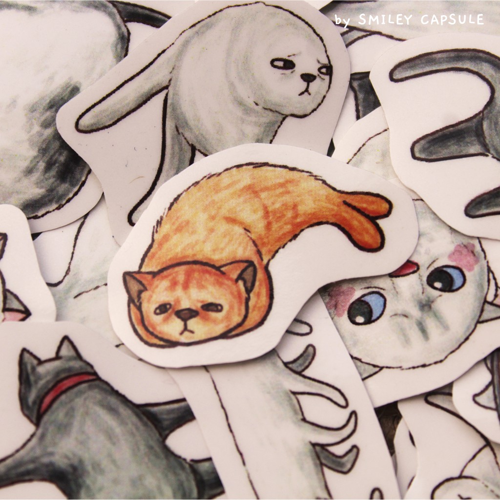 

Kucing Aneh jelek Lucu meme Humor Stiker
