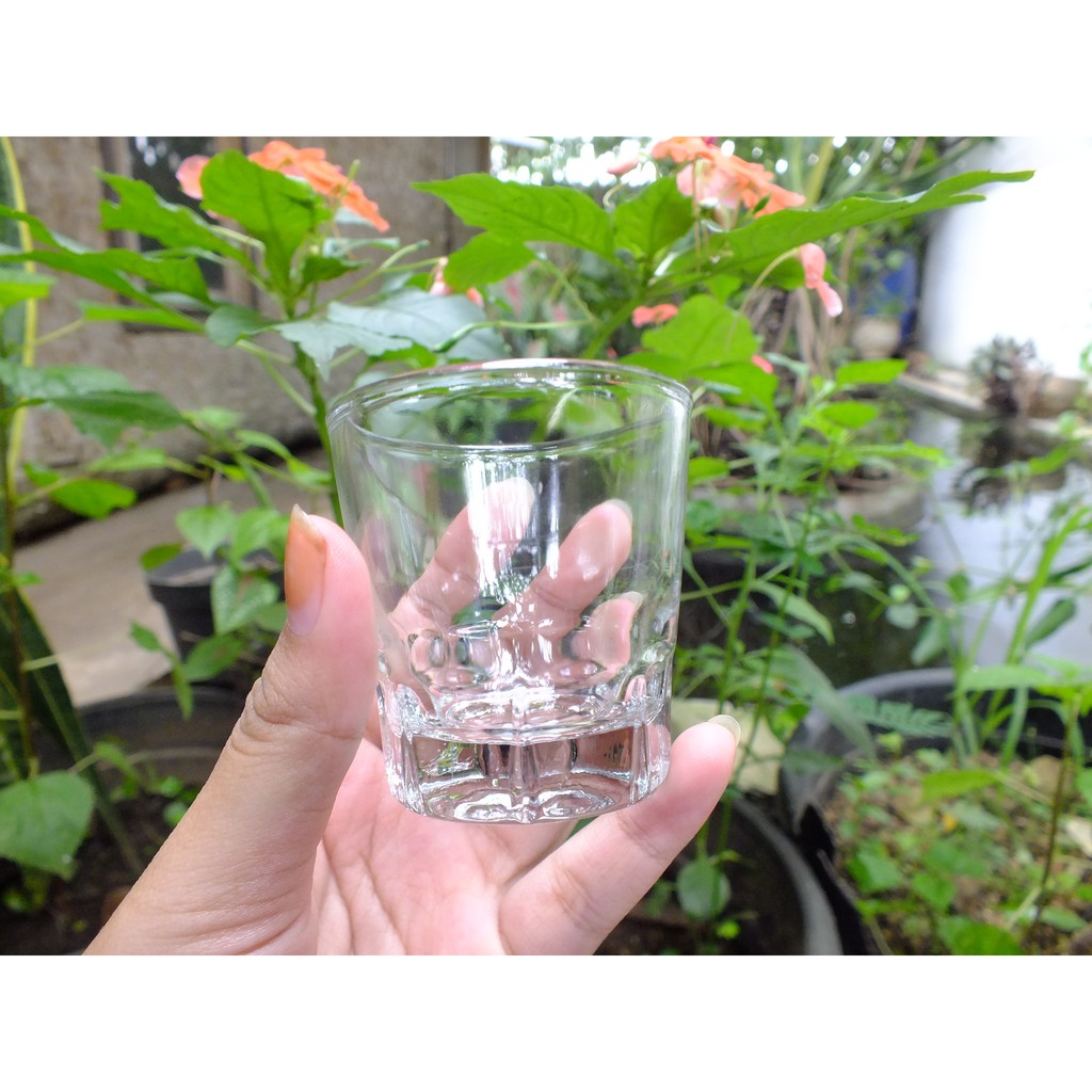 Gelas Sloki Soju Korea