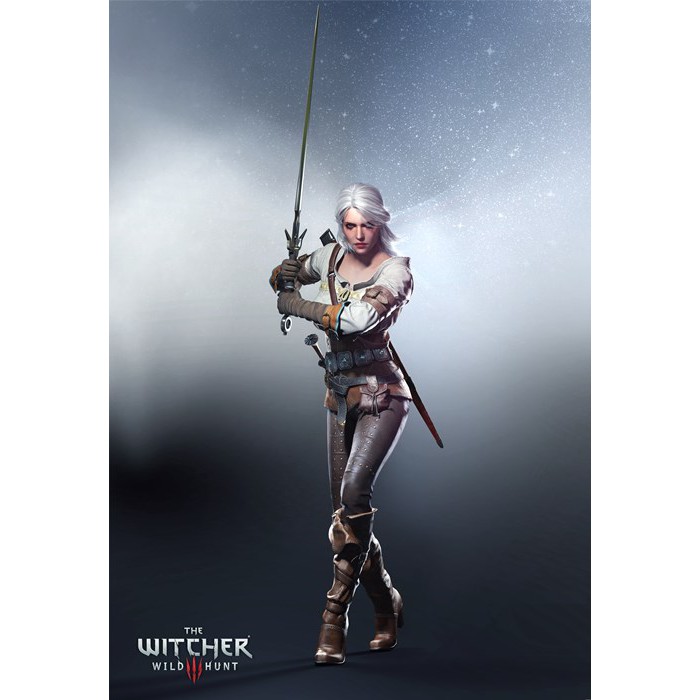 Poster The Witcher 3 50x89cm