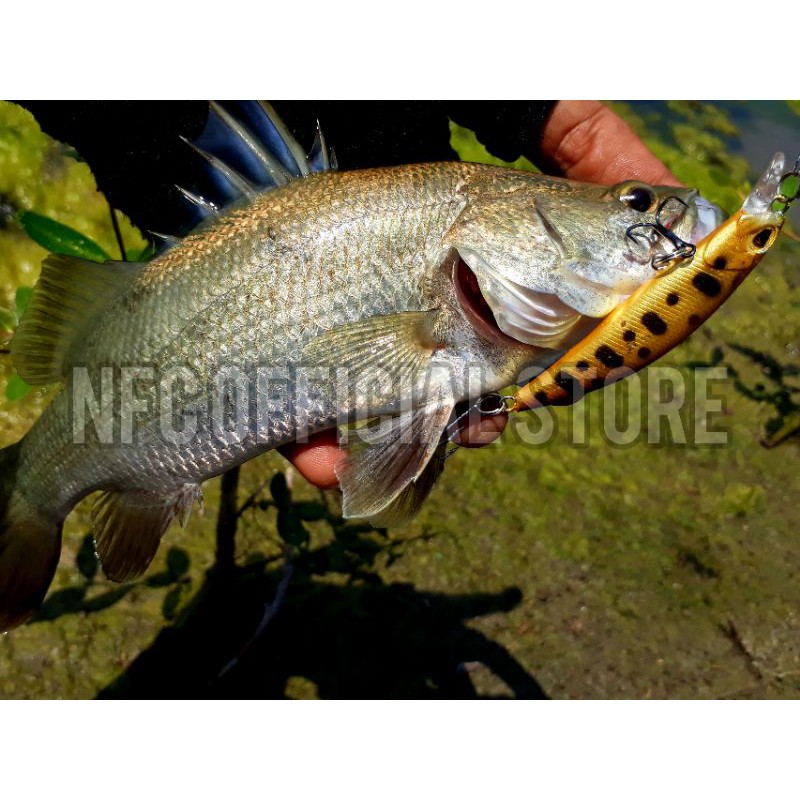 Minnow sinking 4gr/6cm, umpan casting ikan fresh water dengan action KILLER