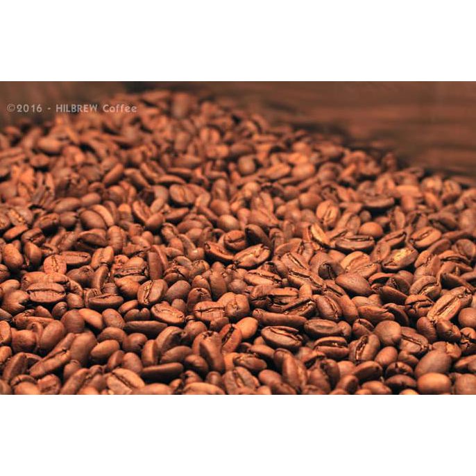 

KOPI ARABICA PAPUA WAMENA - 250 GRAM KODE 172