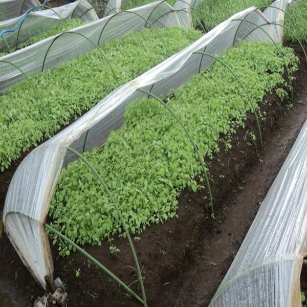 Tunnel Pipe 11 mm x 240 cm Takiron Alat Sungkup Tanaman Ajir Lengkung