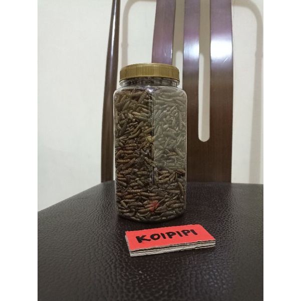 Pakan Ikan Hias - Maggot Mania - Magot Kering BSF 100 Gram