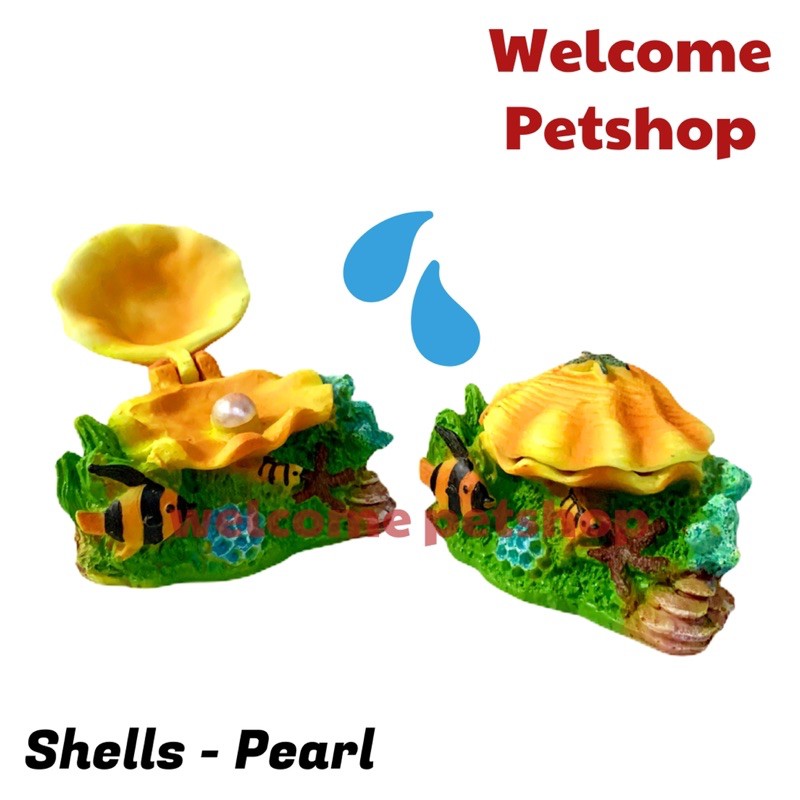 Shells - Pearl / Aksesoris Aquarium / Hiasan Aquarium / Kebutuhan Aquarium