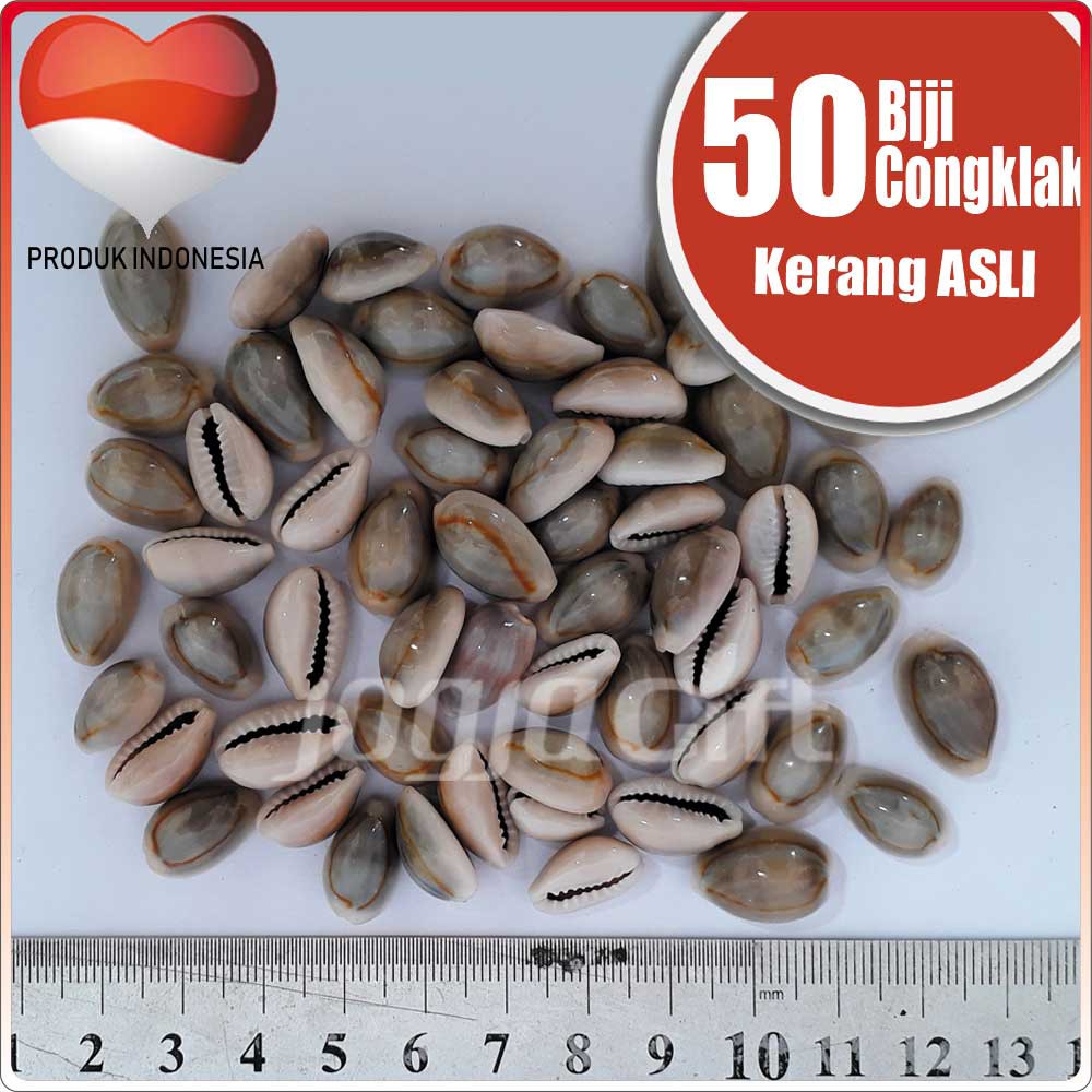 Biji Congklak dari Kerang Asli