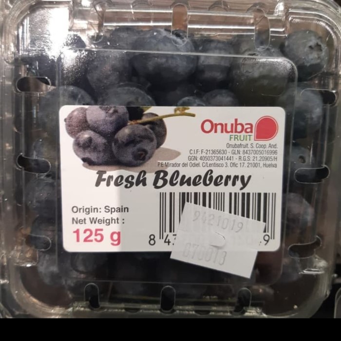 

Buah Blueberry Import kualitas nomer 1