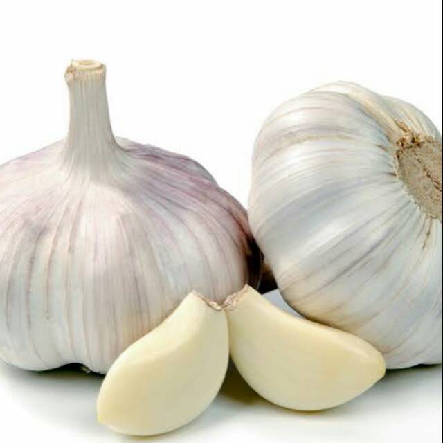 

Bawang putih bukan kating