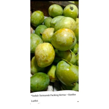 

Mangga indramayu 1kg Mentah Matang Request