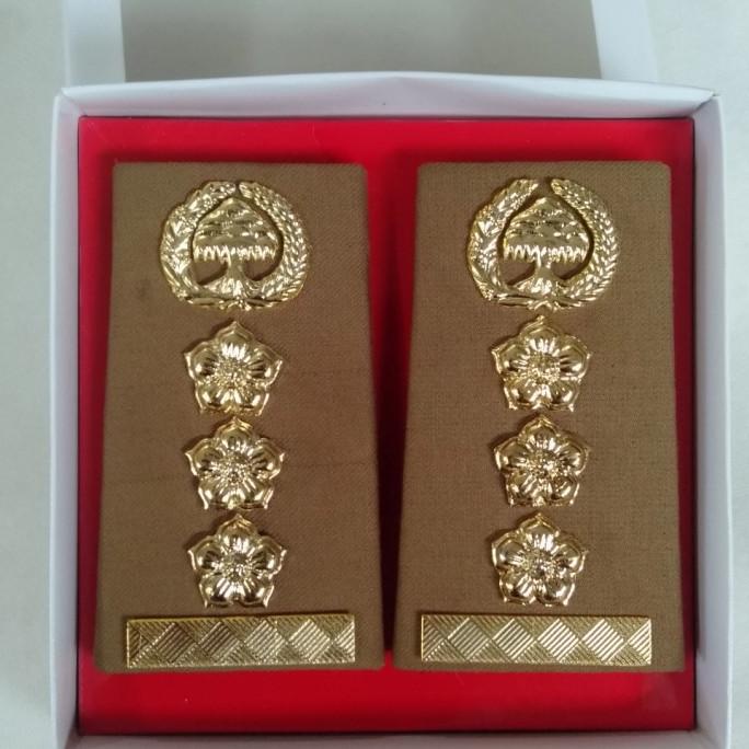 Pangkat ASN 4A Jawa Timur Fungsional MURAH