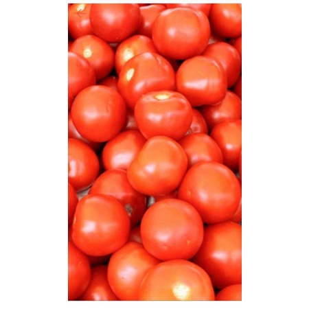 

Tomat Merah 250 gr