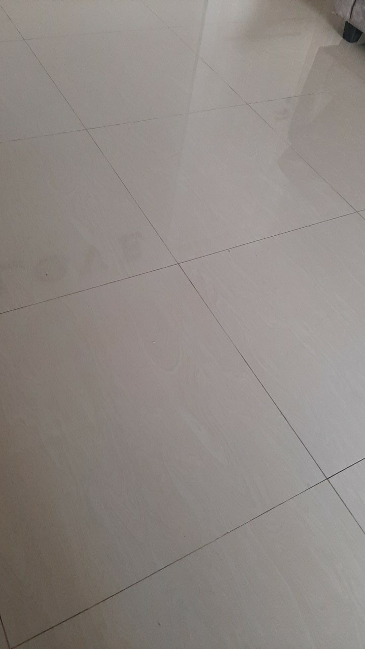 Sikat Cuci Baju / Kain Eterna Gagang Kayu