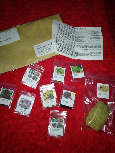 Biji Benih Sayur Bayam Merah