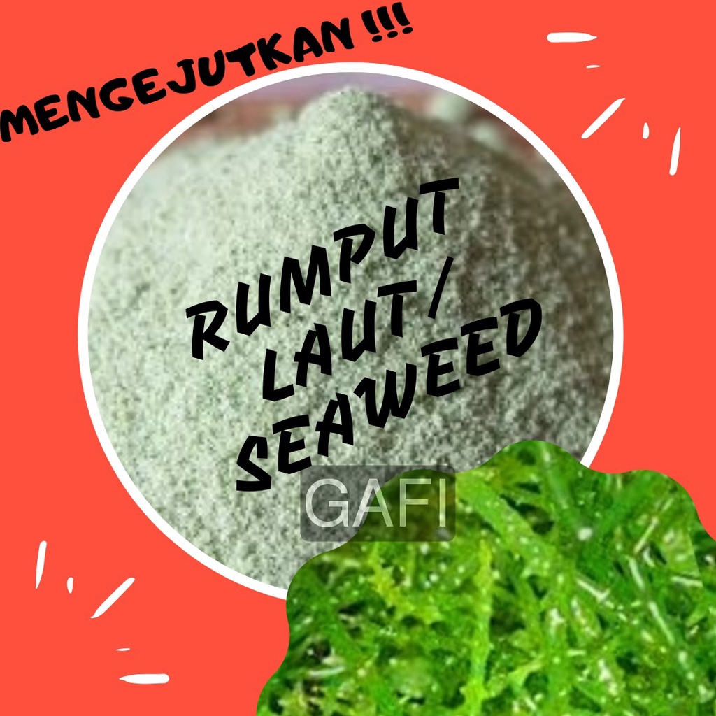 

Aneka Rasa Bumbu Tabur Rumput Laut / Seaweed 1Kg Bubuk Tabur Masakan Kiloan Kebutuhan Memasak Perlengkapan Masak Disajikan Untuk Nasi Keripik Pisang Keripik Singkong Keripik Kentang Surabaya Bukan Antaka Bumbu Tabur Mazzoni Omaemi Mahmudah Mamaqu Indofood