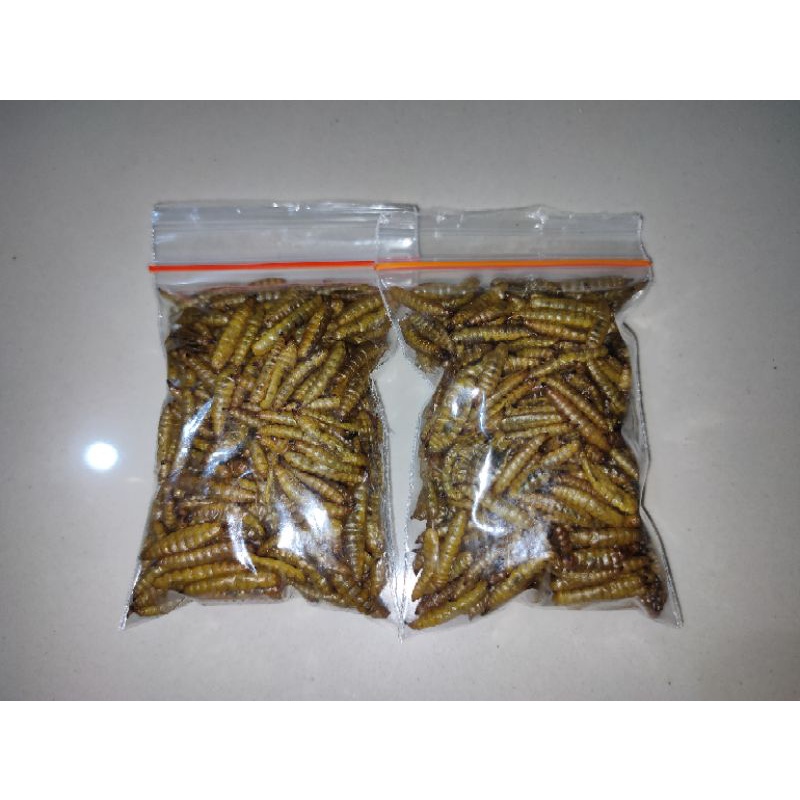 Snack Hamster Dried Worm Ulat Kering