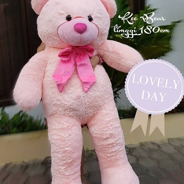 Boneka besar Kee bear super jumbo soft pink